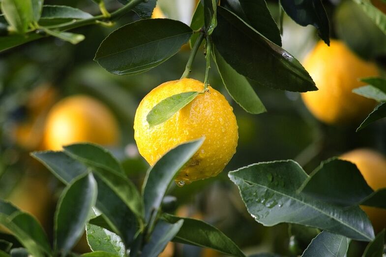 Lemon to increase power